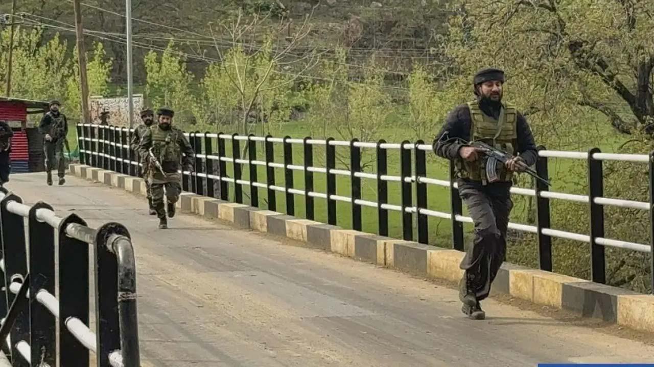 પ્રતીકાત્મક તસવીર