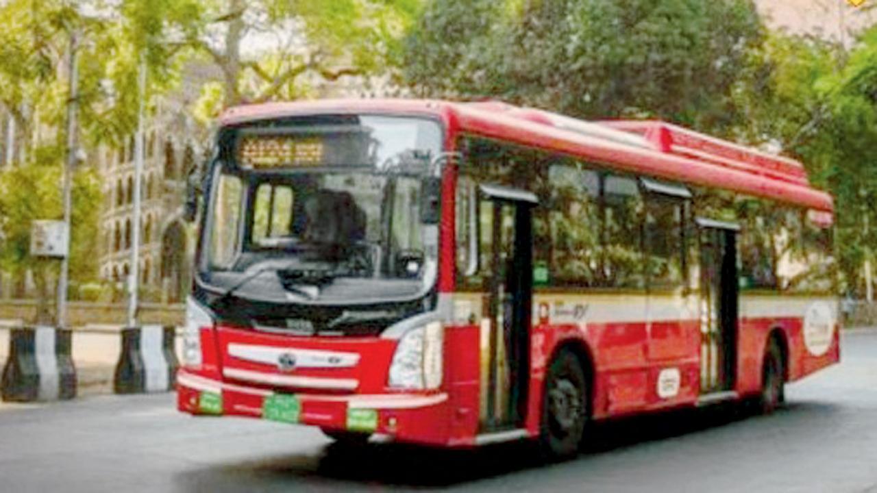 પ્રતીકાત્મક ફાઇલ તસવીર