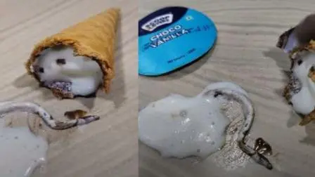 વાયરલ વીડિયોમાંથી લીધેલા સ્ક્રિનશોટ