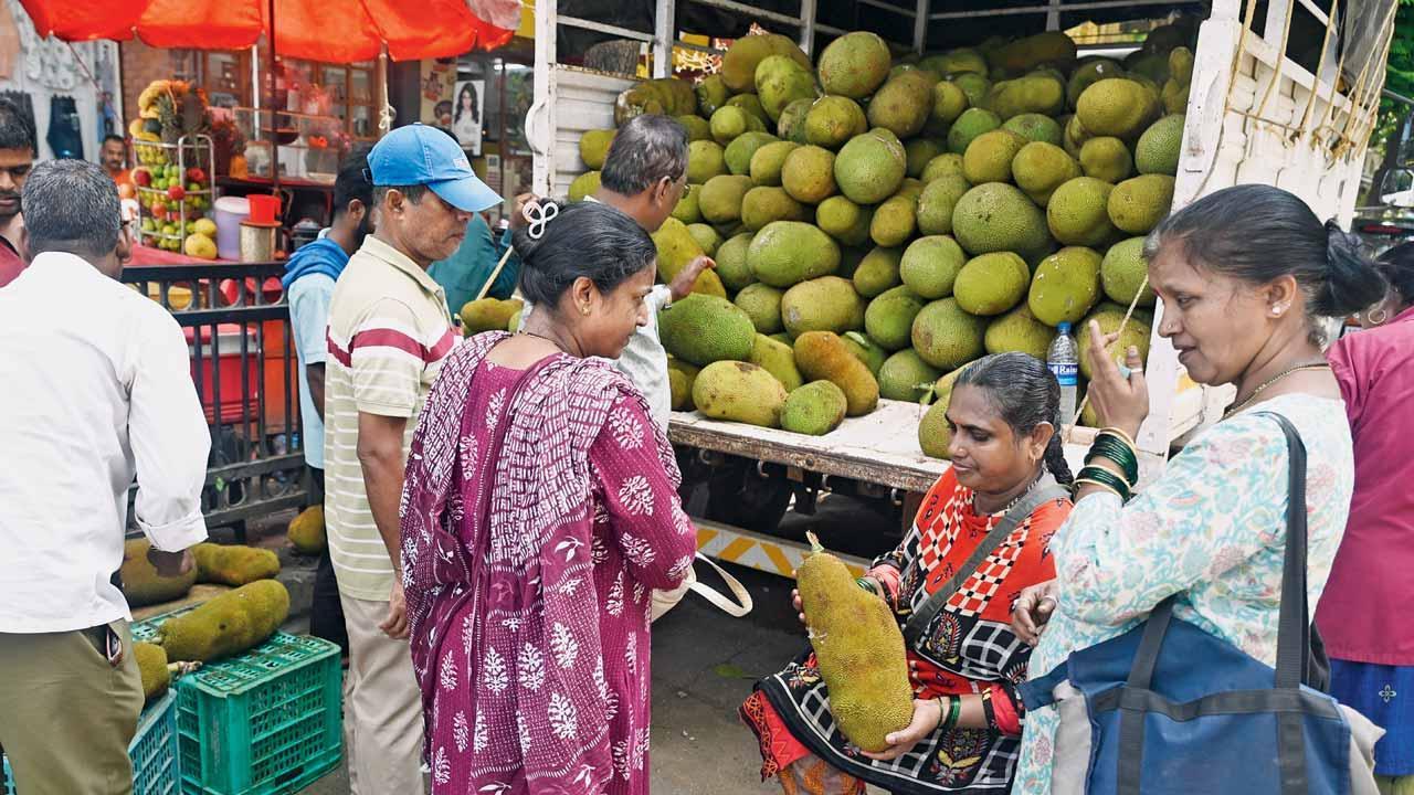 તસવીર : આશિષ રાજે