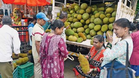 તસવીર : આશિષ રાજે