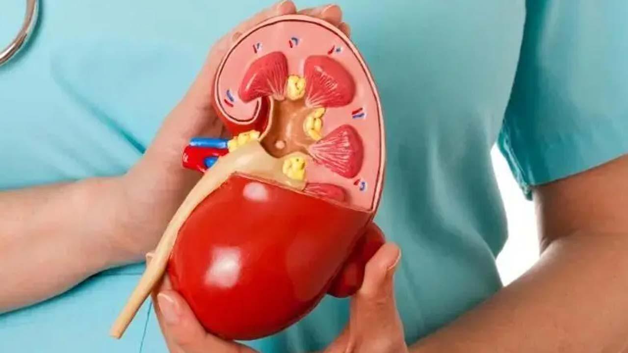 પ્રતીકાત્મક તસવીર