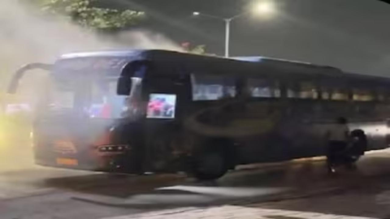 વીડિયોમાંથી લીધેલા સ્ક્રિનશોટ
