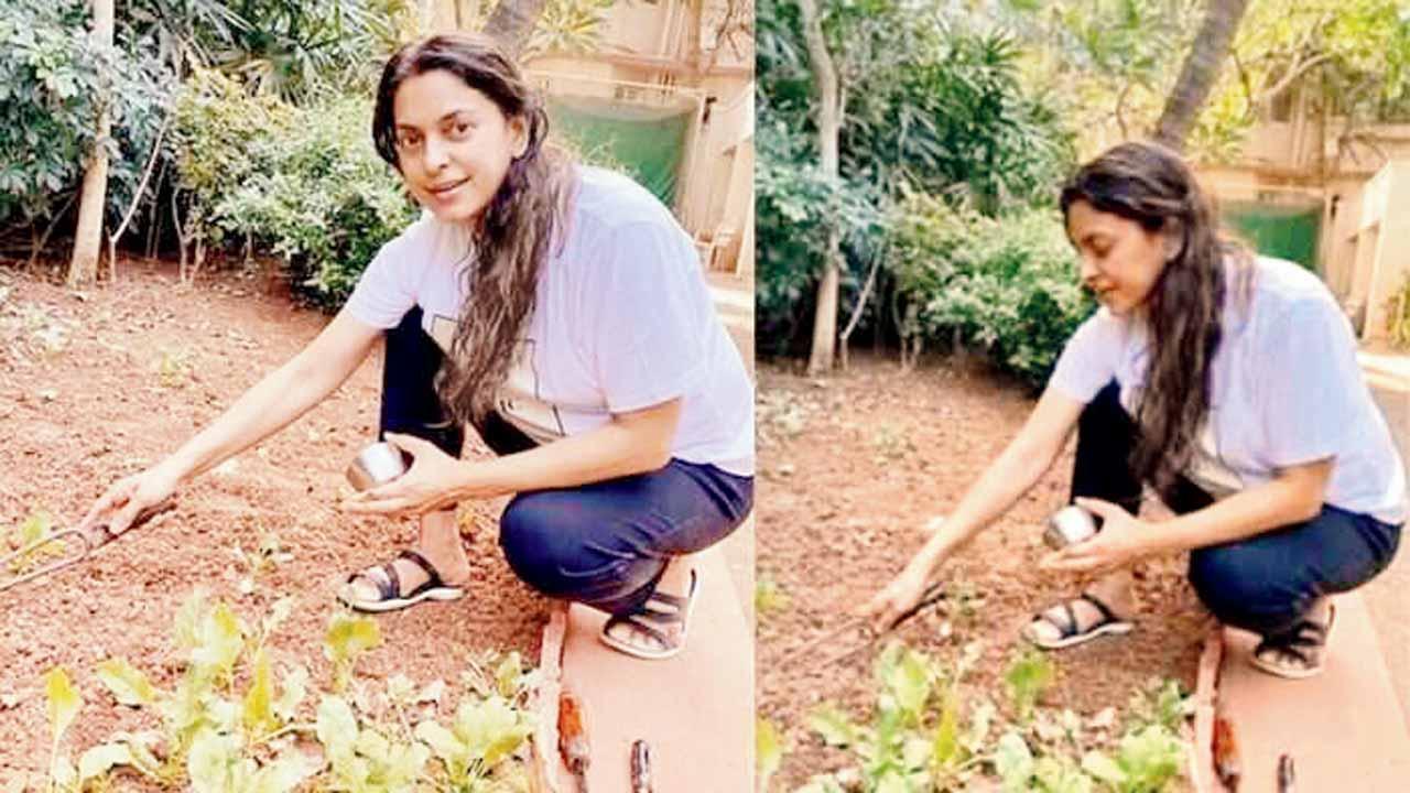 જુહી ચાવલા