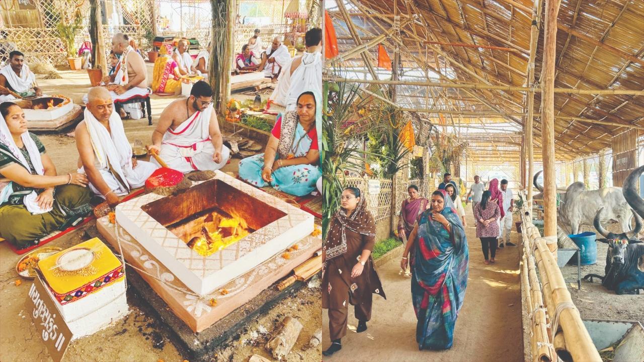 યજ્ઞમાં બેઠેલાં યુગલો. યજ્ઞમંડપ ફરતે ગાયો બાંધી છે જેની પ્રદક્ષિણા લોકો કરી રહ્યા છે.