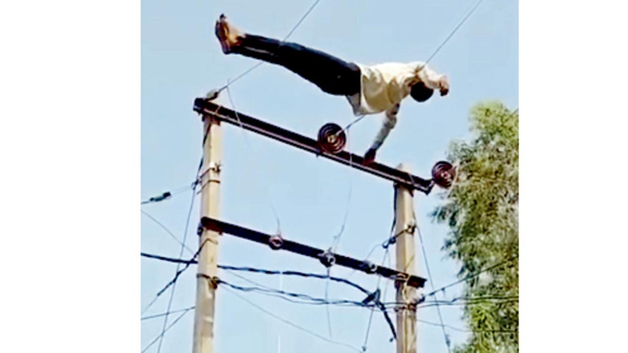 દારૂના નશામાં ધુત ભાઈએ કર્યું હતું કૃત્ય