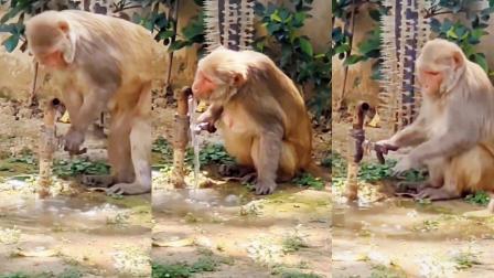 તસવીર સૌજન્યઃ સોશ્યલ મીડિયા