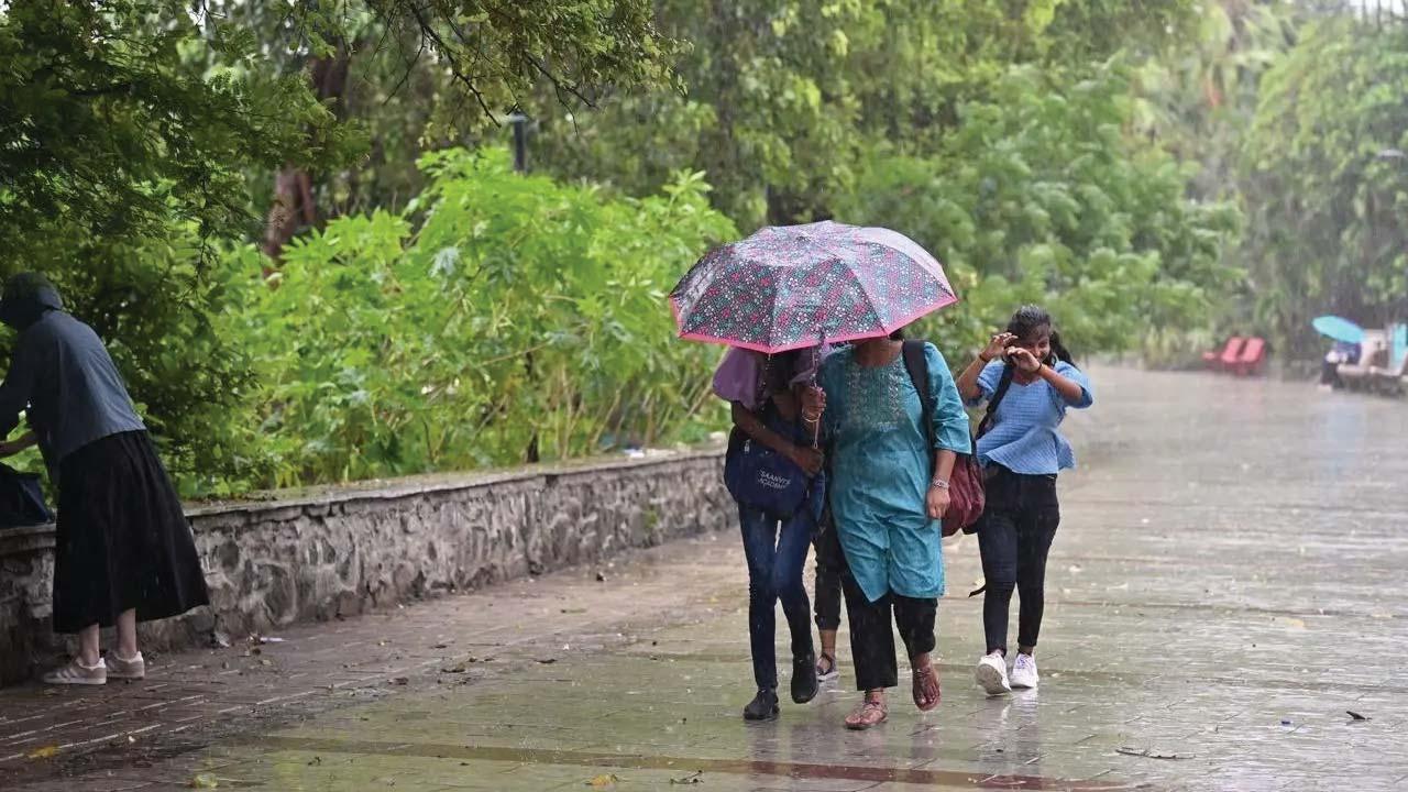 પ્રતીકાત્મક તસવીર