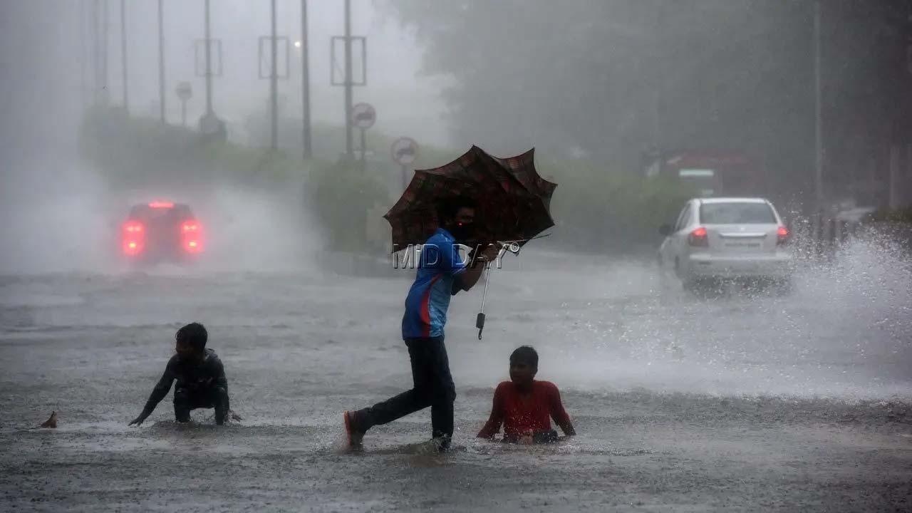 પ્રતીકાત્મક તસવીર