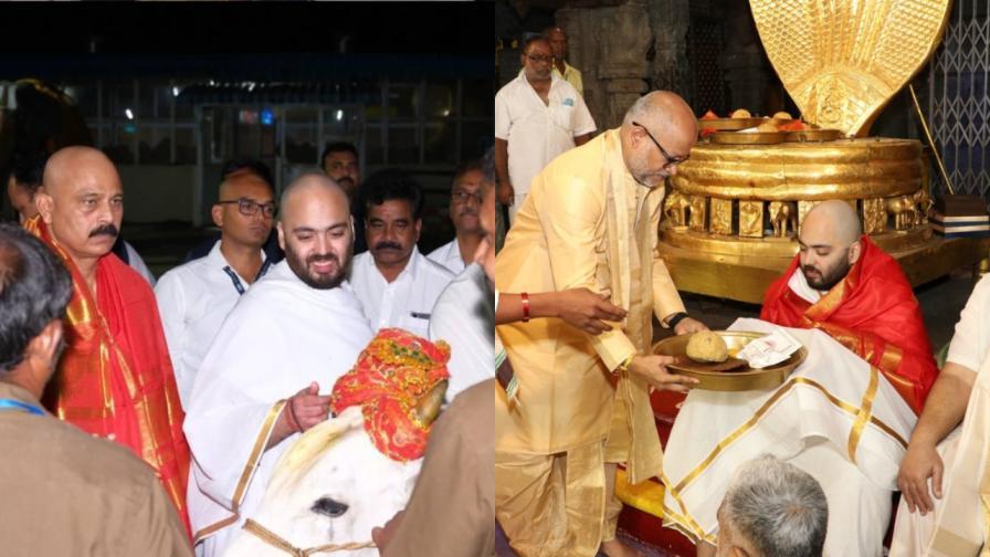 દર વર્ષે, લાખો ભક્તો ભગવાન વેંકટેશ્વર પ્રત્યે શ્રદ્ધા વ્યક્ત કરવા માટે તિરુમાલા મંદિરમાં પોતાના વાળ અર્પણ કરે છે. આ પરંપરાને અનુસરીને, અનંત અંબાણીએ મંદિરમાં વાળ અર્પણની વિધિ પણ કરી. 