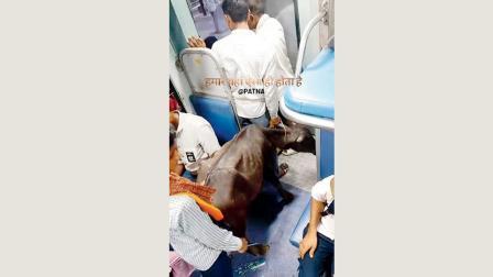 તસવીર સૌજન્યઃ સોશ્યલ મીડિયા