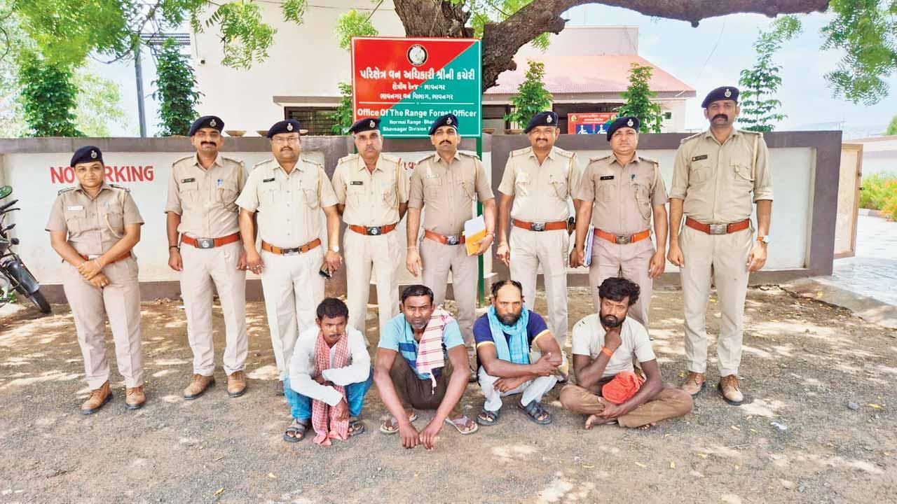 ભાવનગર વનવિભાગે પકડેલા ચાર આરોપીઓ.