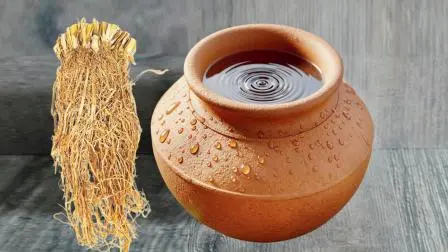 પ્રતીકાત્મક તસવીર