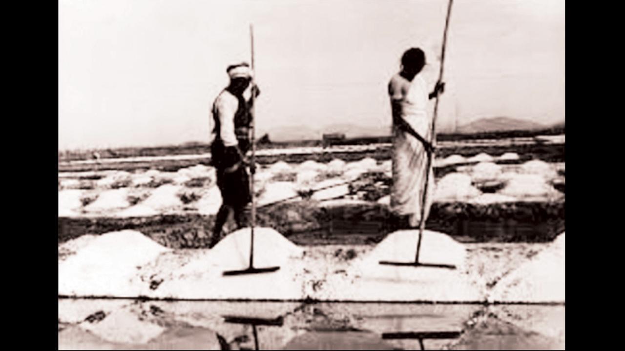 મીઠાના અગરમાં ખભેખભા મિલાવીને