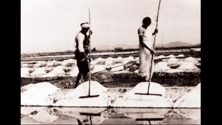 મીઠાના અગરમાં ખભેખભા મિલાવીને