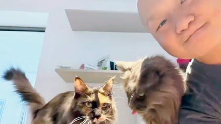 તસવીર સૌજન્યઃ સોશ્યલ મીડિયા