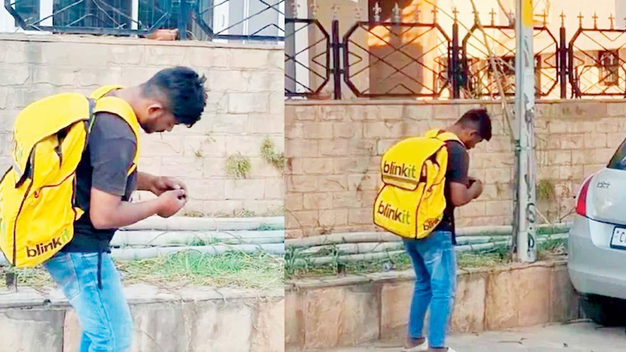 વાઇરલ વિડીયોમાંથી સ્ક્રીનશૉટ