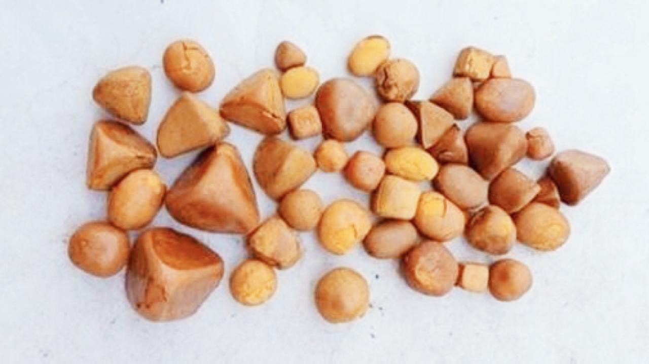 ગાયના પેટમાં થયેલી પથરી