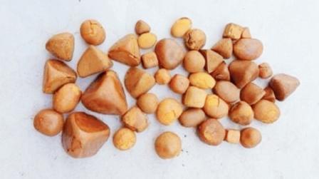 ગાયના પેટમાં થયેલી પથરી