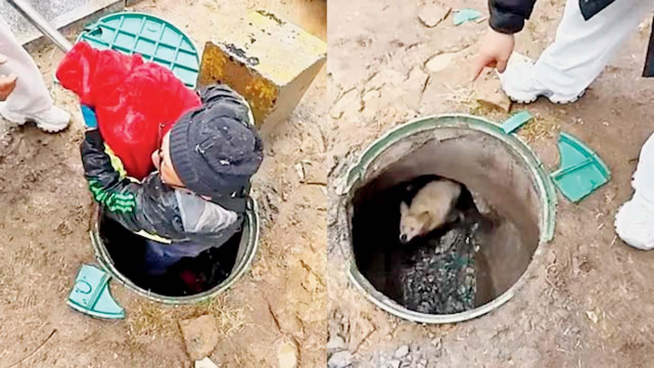 વાઇરલ વિડીયોમાંથી સ્ક્રીનશૉટ