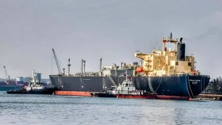 યુદ્ધ શરૂ થયા પછી હોર્મુઝ સ્ટ્રેટના માર્ગે થઈને ભારતનું અપોલો ઓશન નામનું LPG ટૅન્કર ગઈ કાલે ભારતના મૅન્ગલોર પોર્ટ પર પહોંચ્યું હતું. કતરથી આવેલા આ ટૅન્કરમાં ૧૭,૬૦૦ ટન LPG ભરેલો છે. 