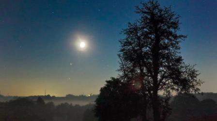 પ્રતીકાત્મક તસવીર