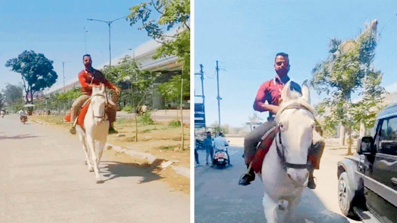 વાઇરલ વિડીયોમાંથી સ્ક્રીનશૉટ