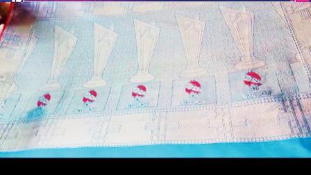 કારીગરોને એક સાડી બનાવવામાં લગભગ દોઢ મહિનાનો સમય લાગ્યો હતો