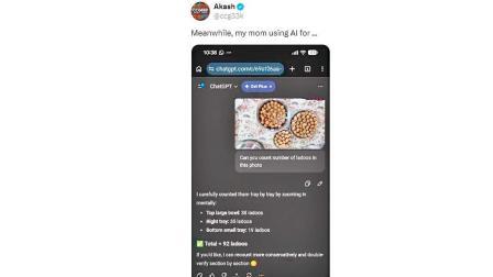 ChatGPTમાં અપલોડ થયેલ ફોટો 