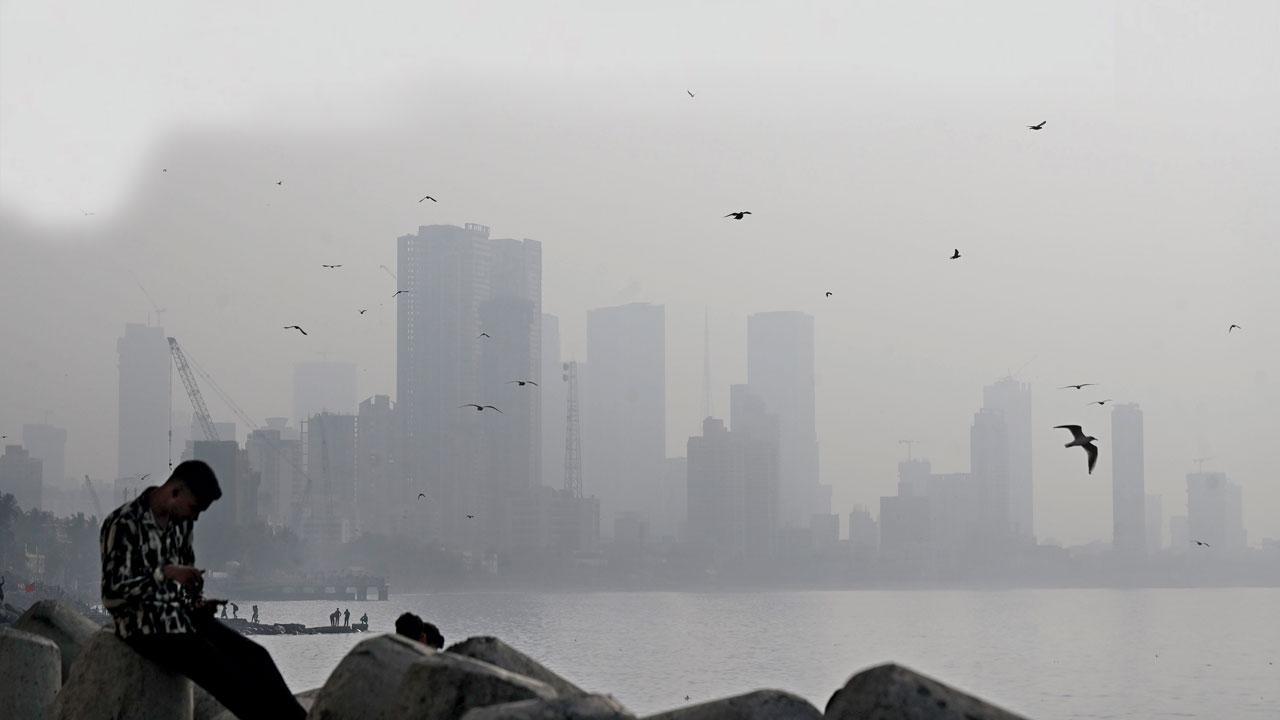 પ્રતીકાત્મક ફાઇલ તસવીર