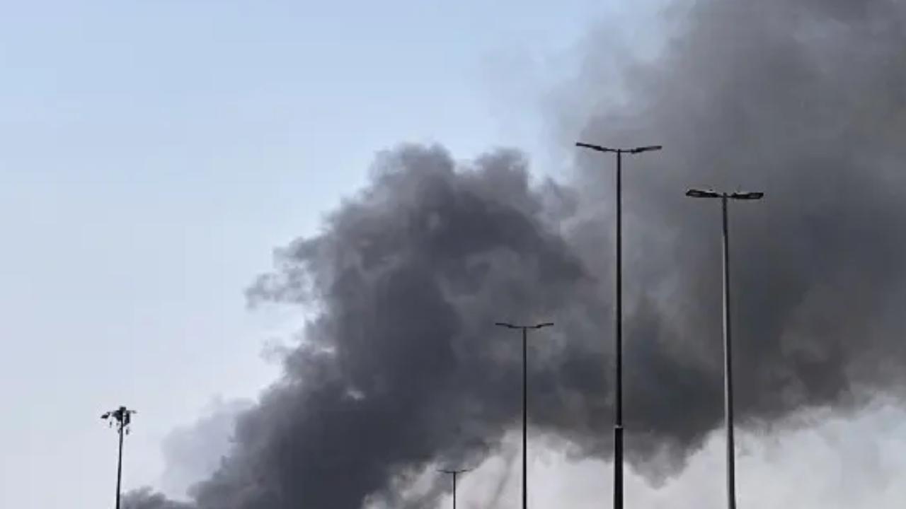 પ્રતીકાત્મક તસવીર