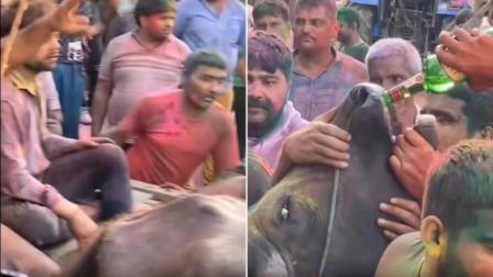 વાયરલ વીડિયોનો સ્ક્રીન ગરૅબ (તસવીર સૌજન્ય: સોશિયલ મીડિયા)