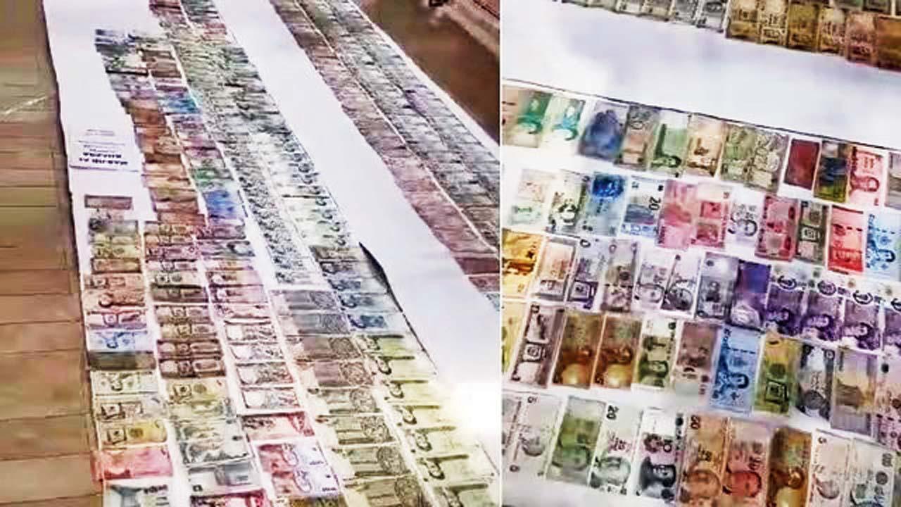 જુઓ કલેક્શન