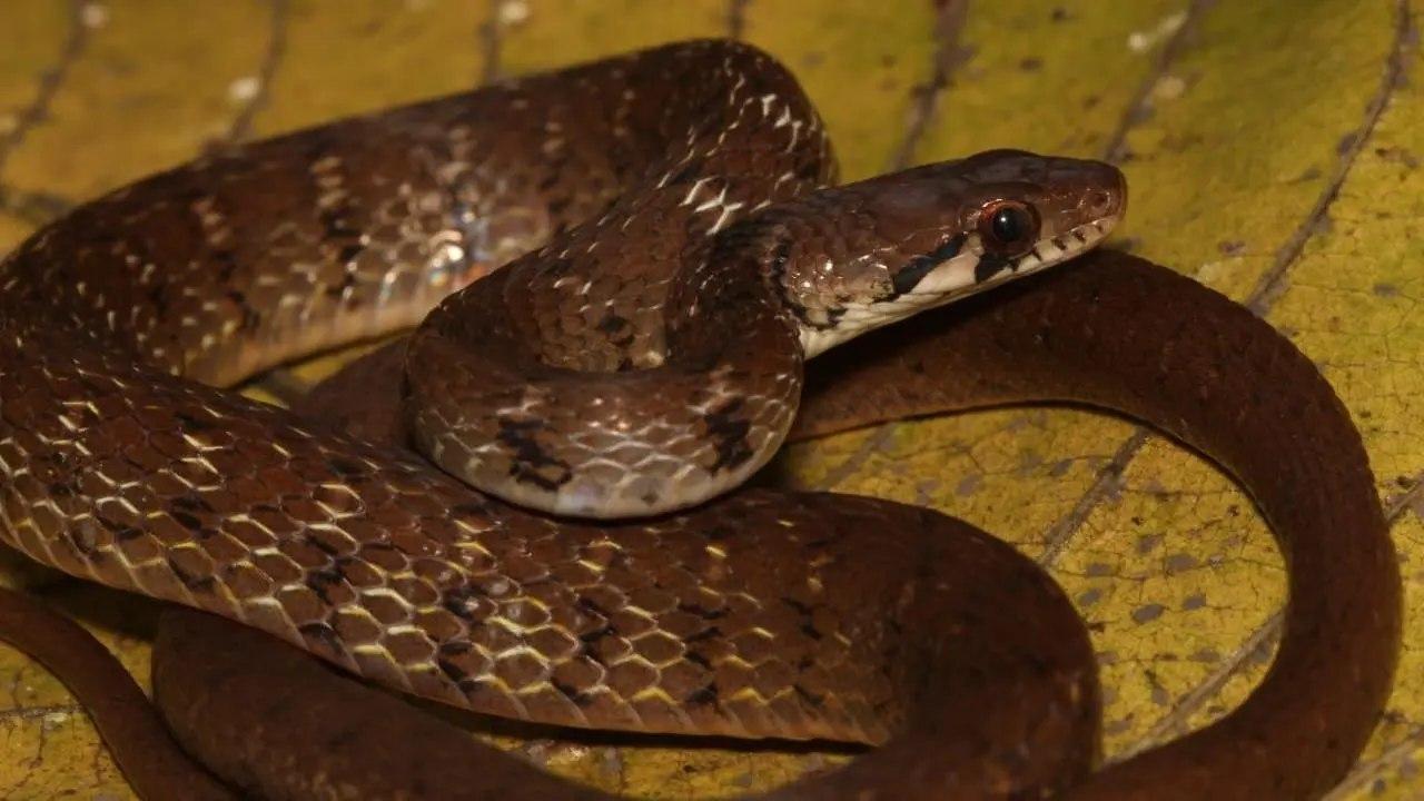 પ્રતીકાત્મક તસવીર (સૌજન્ય: મિડ-ડે)