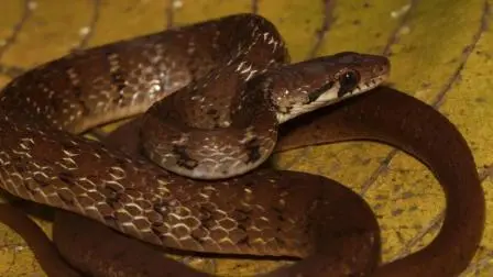 પ્રતીકાત્મક તસવીર (સૌજન્ય: મિડ-ડે)