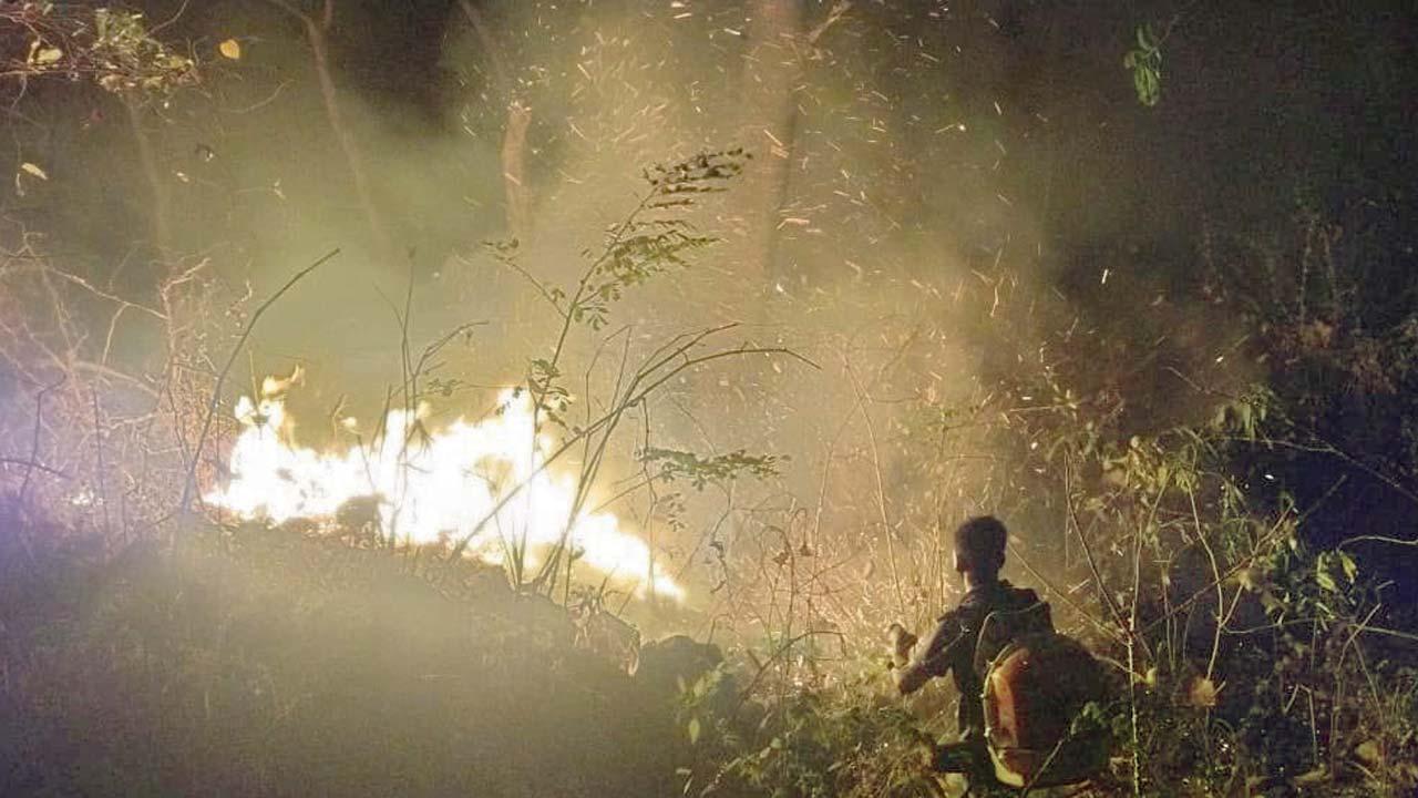 જો આગ જલદી કાબૂમાં ન આવે તો ગ્રાઉન્ડ વૉટરને અસર થવાની ચિંતા નિષ્ણાતોએ જણાવી હતી