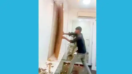 કારીગરે પોતે જ તૈયાર કરેલા ફર્નિચરની ઉપરનું ફિનિશિંગ તોડીફોડીને જુદું કરી નાખ્યું હતું