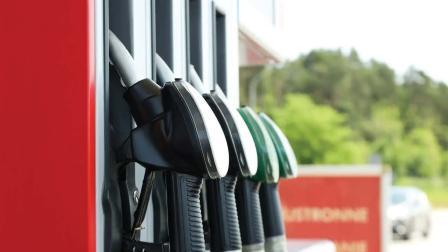 પ્રતીકાત્મક તસવીર