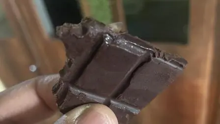 તસવીર સૌજન્યઃ એક્સ