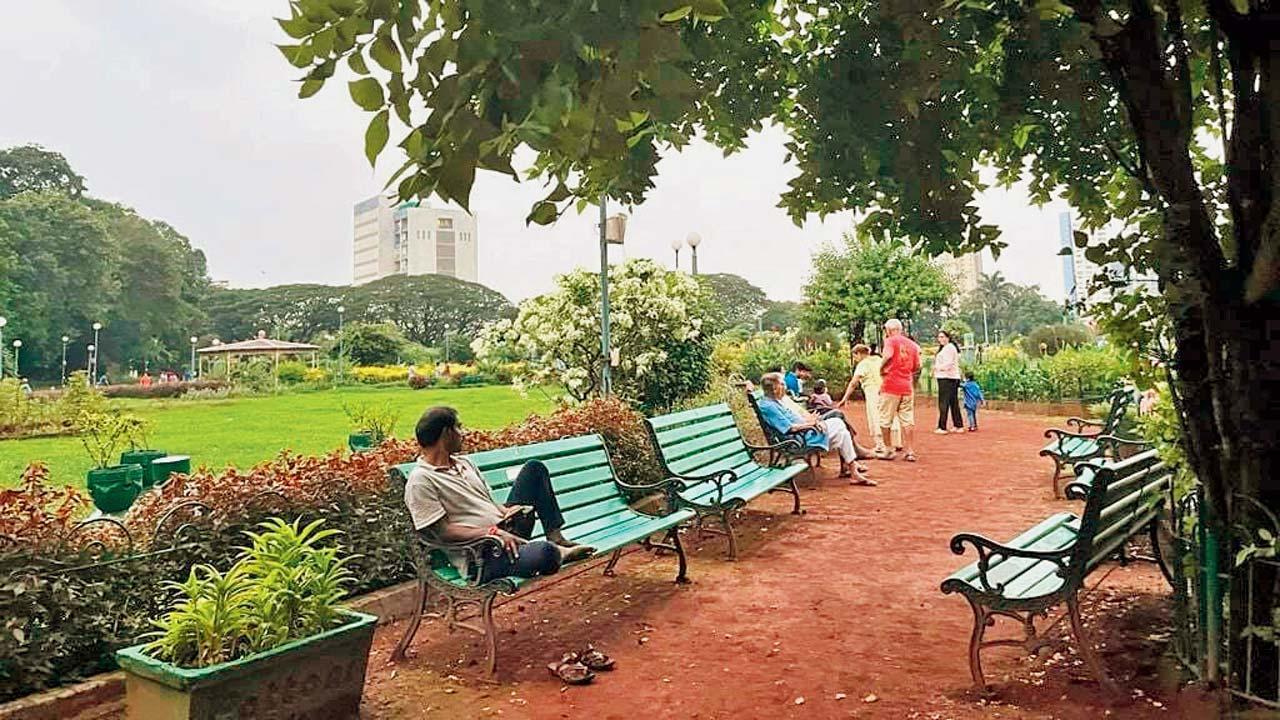 પ્રતીકાત્મક તસવીર