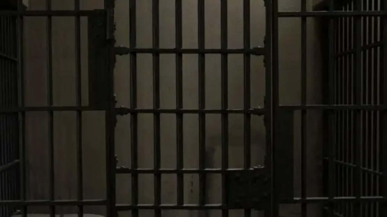 પ્રતીકાત્મક તસવીર