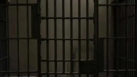 પ્રતીકાત્મક તસવીર