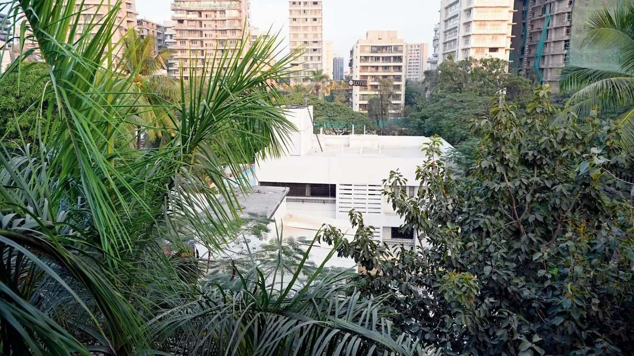 ફાઇલ તસવીર