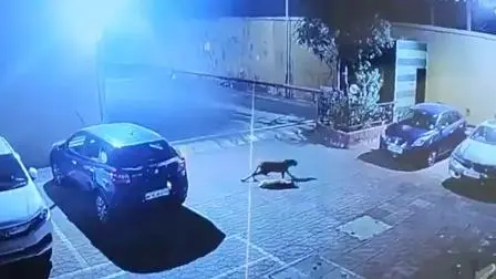 વાયરલ વીડિયોમાંથી સ્ક્રીન શૉટ (તસવીર: સોશિયલ મીડિયા)