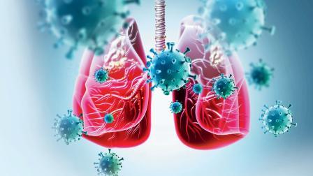 પ્રતીકાત્મક તસવીર