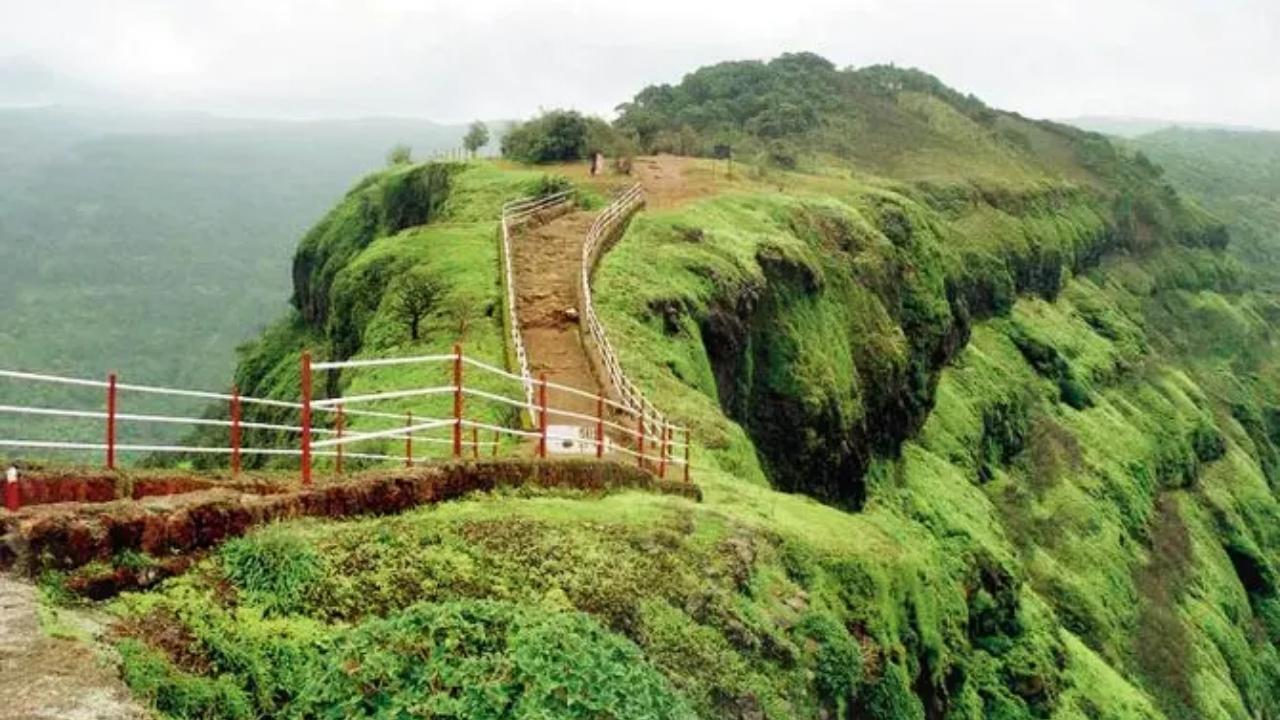 ફાઇલ તસવીર