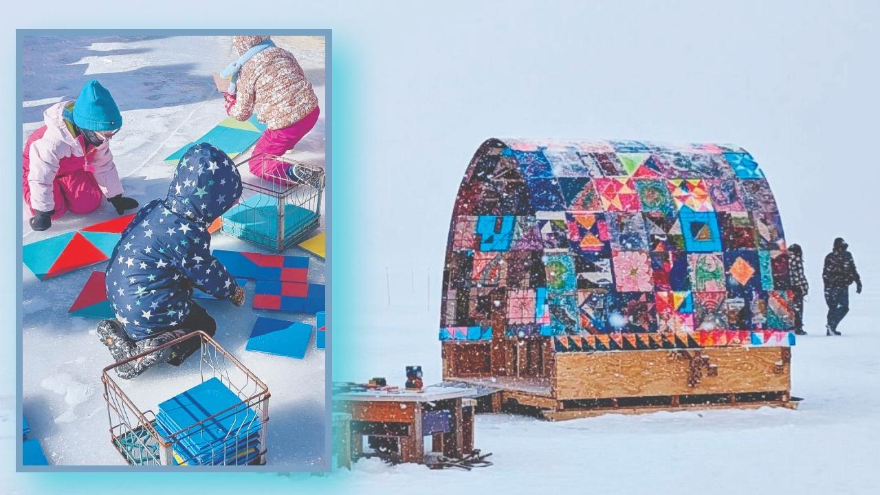 રંગબેરંગી શેલ્ટર