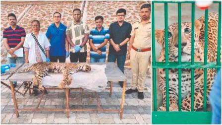 બિટ્ટુ બૉસના નિધનથી નૅશનલ પાર્કનો સ્ટાફ ગમગીન.