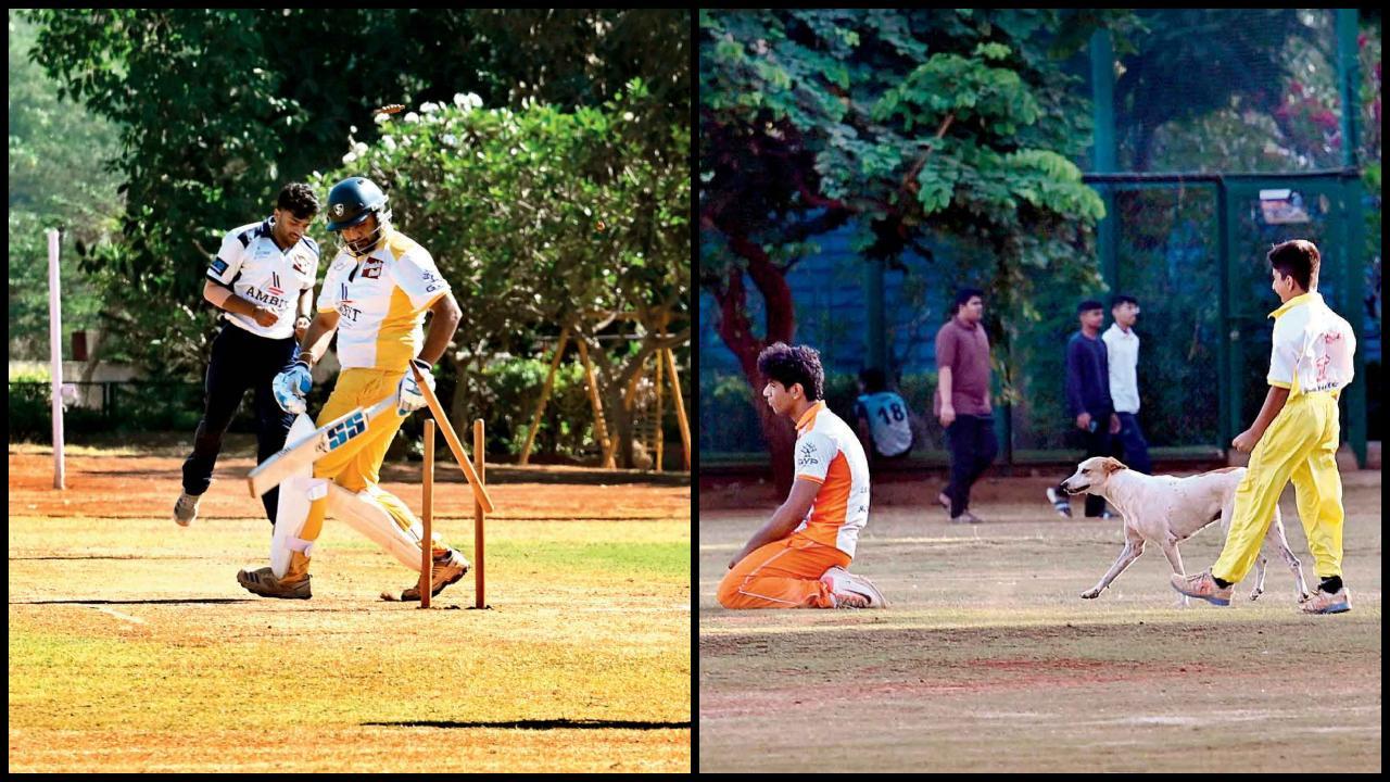 કપોળ, ગુર્જર સુતાર, વાગડ વિશા ઓસવાળ જૈન અને સૌરાષ્ટ્ર લેઉવા પટેલ ક્વૉર્ટર ફાઇનલમાં