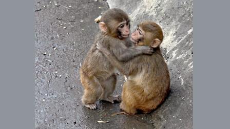 તસવીર સૌજન્યઃ સોશ્યલ મીડિયા